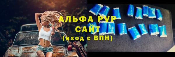 ГАЛЛЮЦИНОГЕННЫЕ ГРИБЫ Гусев