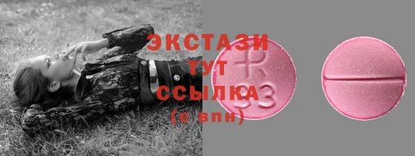 ГАЛЛЮЦИНОГЕННЫЕ ГРИБЫ Гусев