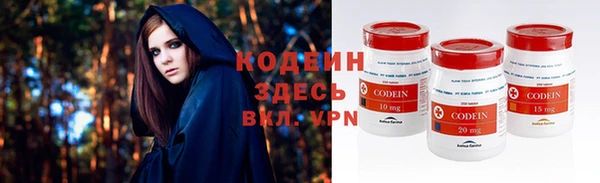 ГАЛЛЮЦИНОГЕННЫЕ ГРИБЫ Гусев