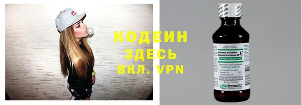 ГАЛЛЮЦИНОГЕННЫЕ ГРИБЫ Гусев
