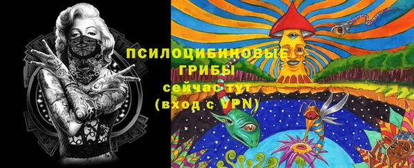 мет Гусиноозёрск
