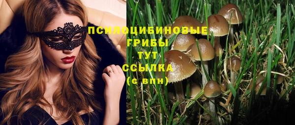 мет Гусиноозёрск