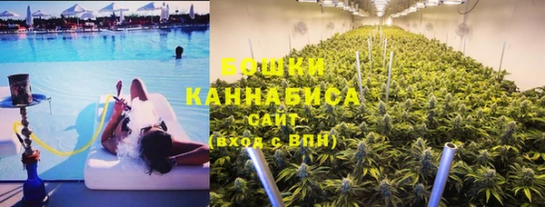 ГАЛЛЮЦИНОГЕННЫЕ ГРИБЫ Гусев