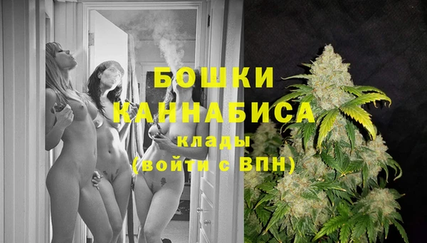 ГАЛЛЮЦИНОГЕННЫЕ ГРИБЫ Гусев