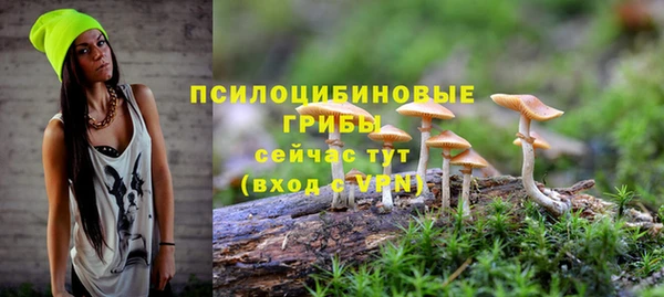 мет Гусиноозёрск