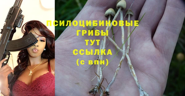 каннабис Гусь-Хрустальный