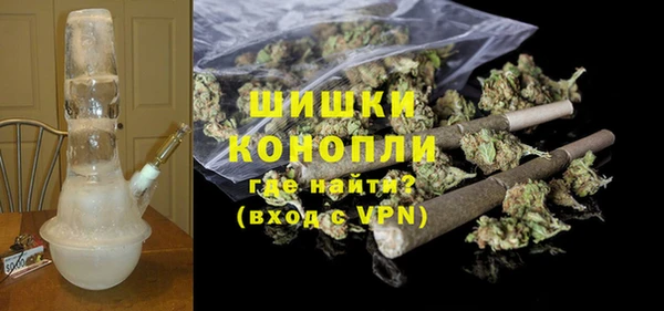 ГАЛЛЮЦИНОГЕННЫЕ ГРИБЫ Гусев