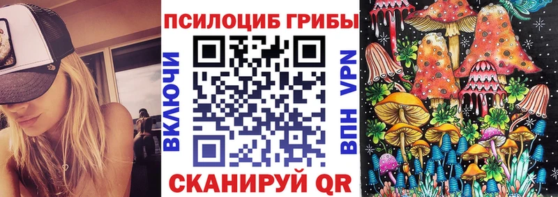 магазин продажи   Электроугли  Псилоцибиновые грибы Psilocybe 